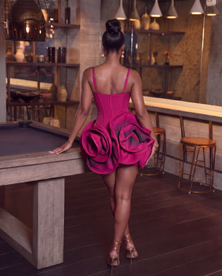 Miss Rosey Mini dress