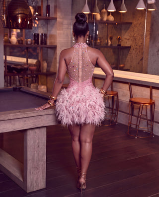 Iconic Feather crystal dress