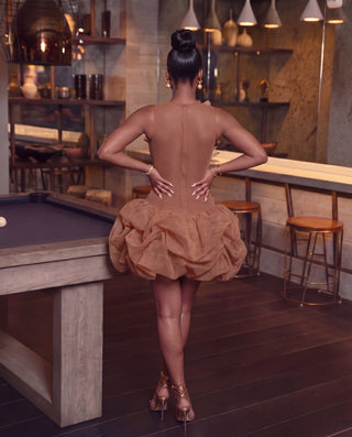 Feather-Appliqué Mini Dress