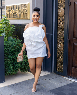 Alana Mini Dress ( White )