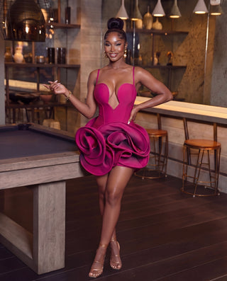 Miss Rosey Mini dress