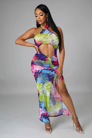 Naenia Multi-Color Maxi Ruched Dress